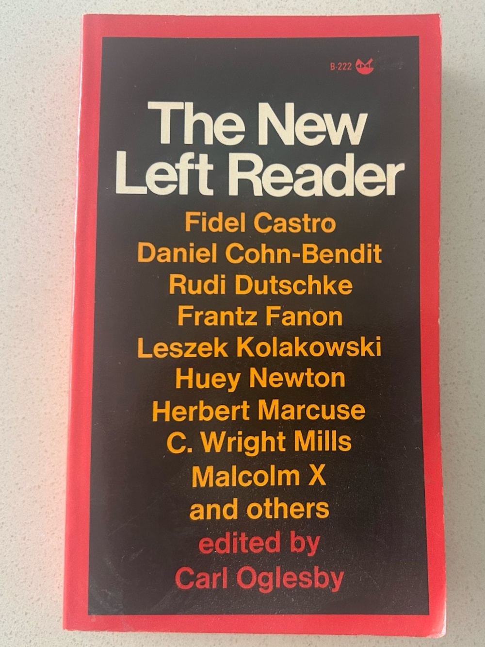 The New Left Reader